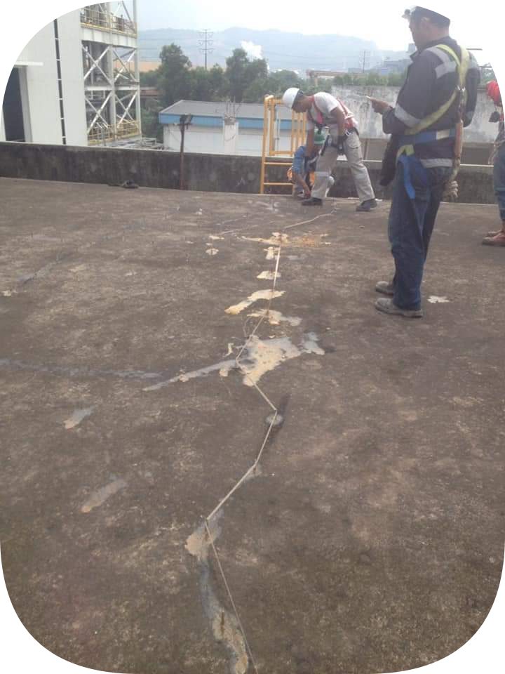 rounded-in-photoretrica (6)